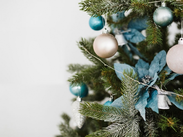 On podem portar l’arbre de Nadal un cop passades les festes?